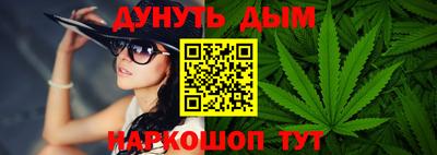 крисы Камышлов