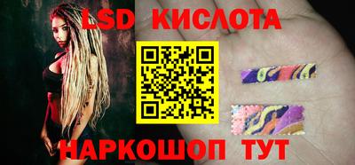 крисы Камышлов