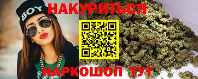 крисы Камышлов