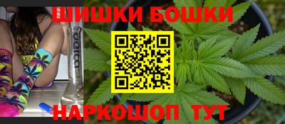 крисы Камышлов