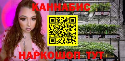 крисы Камышлов