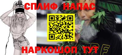 крисы Камышлов